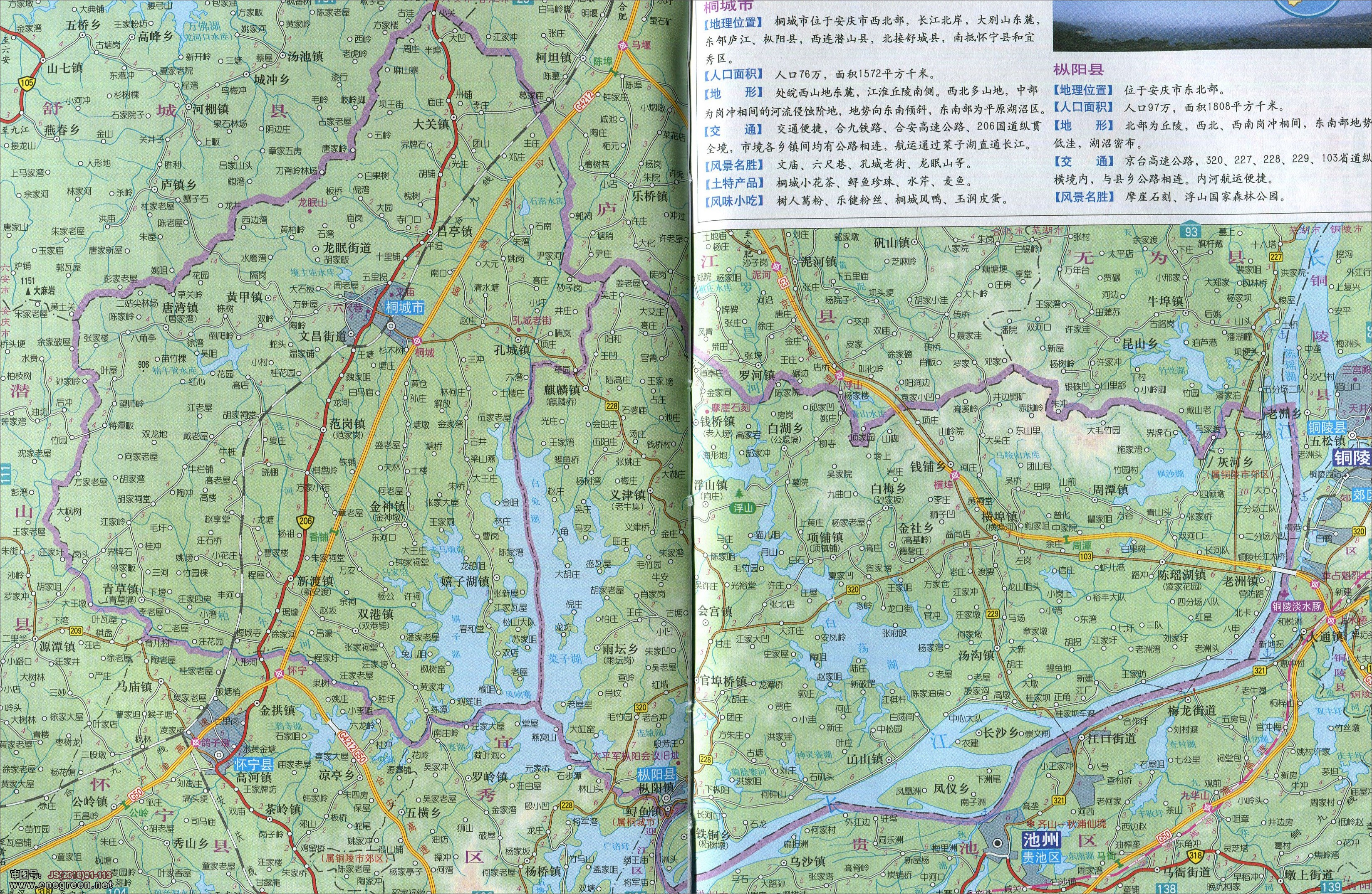 桐城市枞阳县地图图片